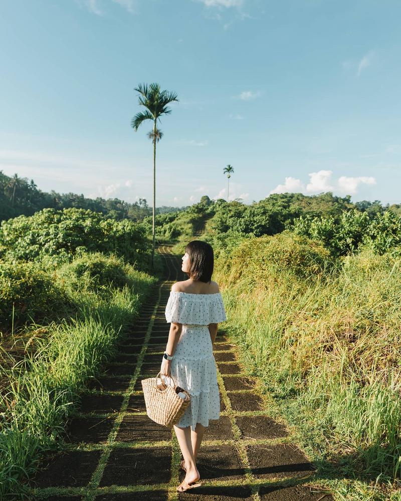 Campuhan Ridge Walk bali-rent-car-with-driver-best-instagrammable-spot-in-bali (1)