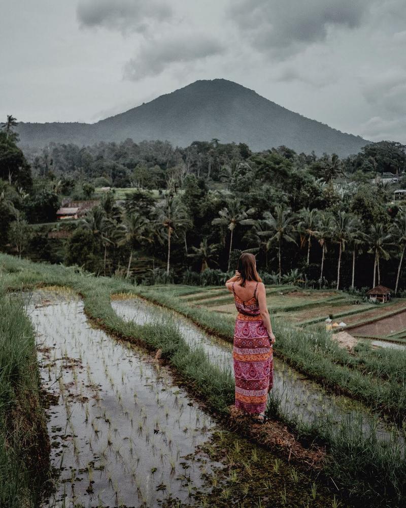 Jatiluwih Rice Terraces bali-rent-car-with-driver-best-instagrammable-spot-in-bali (1)