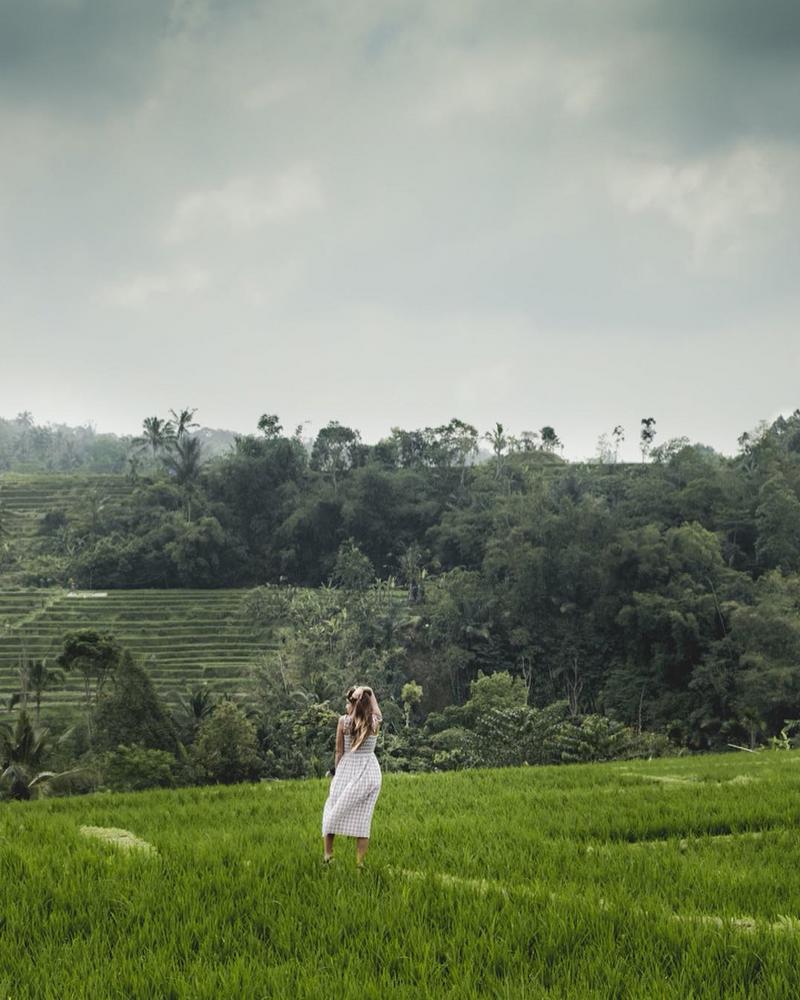 Jatiluwih Rice Terraces bali-rent-car-with-driver-best-instagrammable-spot-in-bali (2)