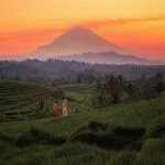 Jatiluwih Rice Terraces