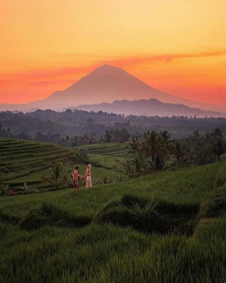 Jatiluwih Rice Terraces