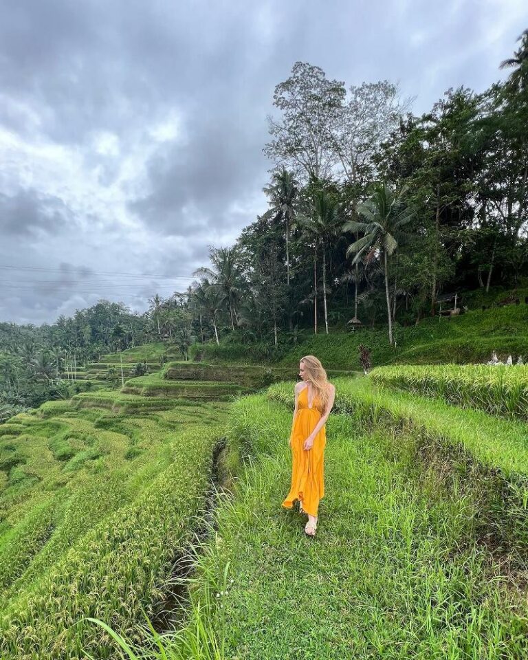 Tegalalang Rice Terraces