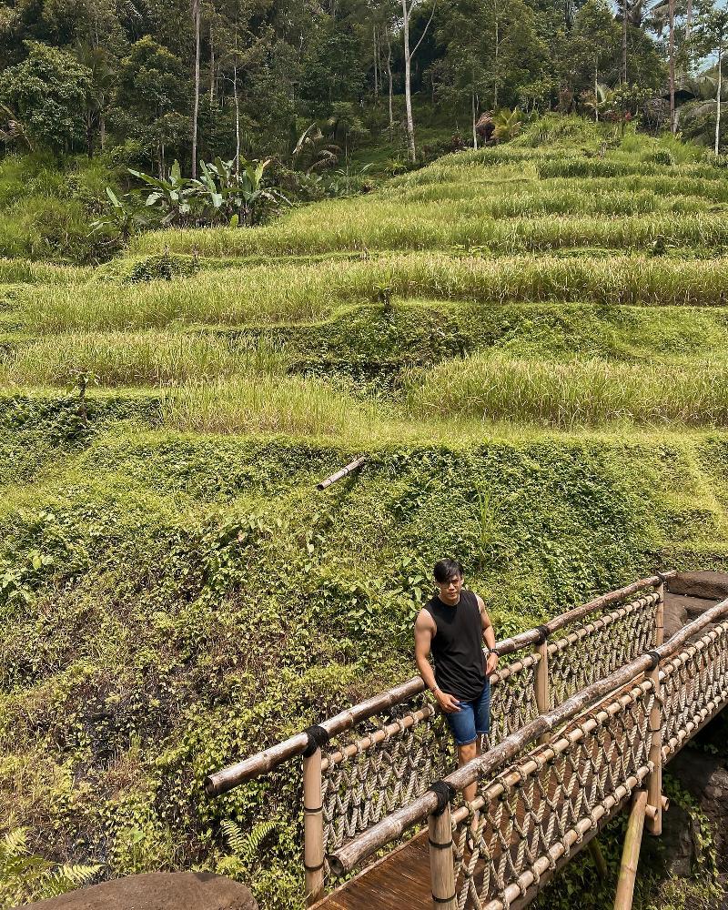 Tegallalang Rice Terrace bali-rent-car-with-driver-best-instagrammable-spot-in-bali (4)