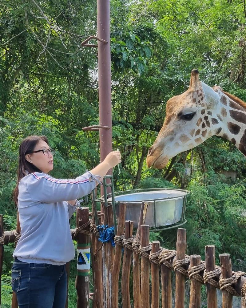 Bali Safari & Marine Park bali-rent-car-with-driver-Experience-and-Activities-Tour (2)