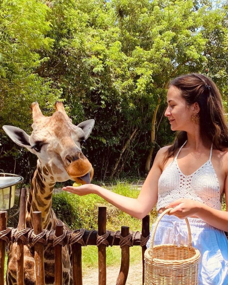Bali Safari & Marine Park