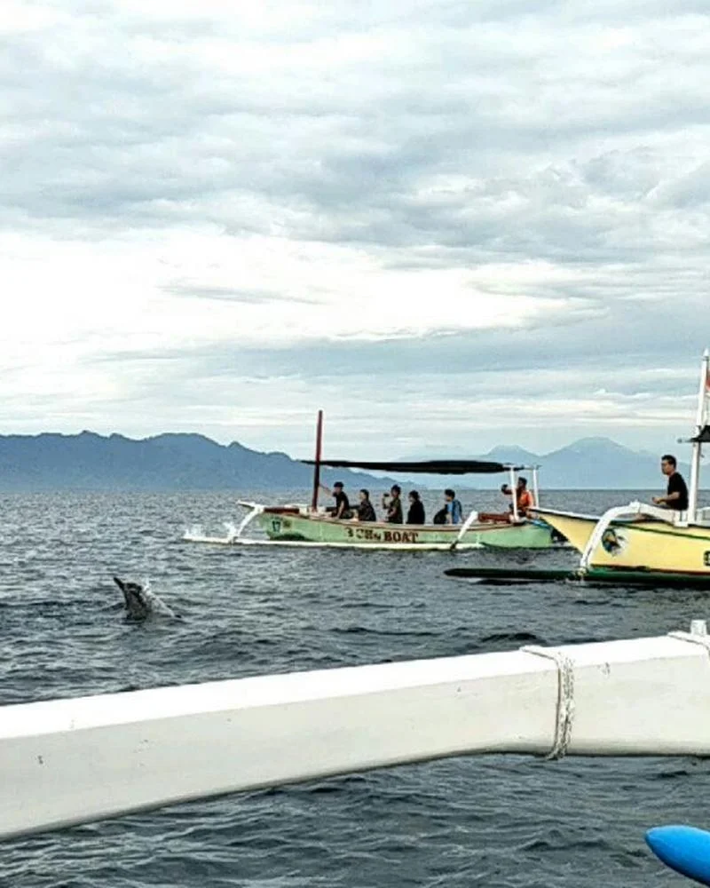 Lovina Dolphin watching bali-rent-car-with-driver-Experience-and-Activities-Tour (3)
