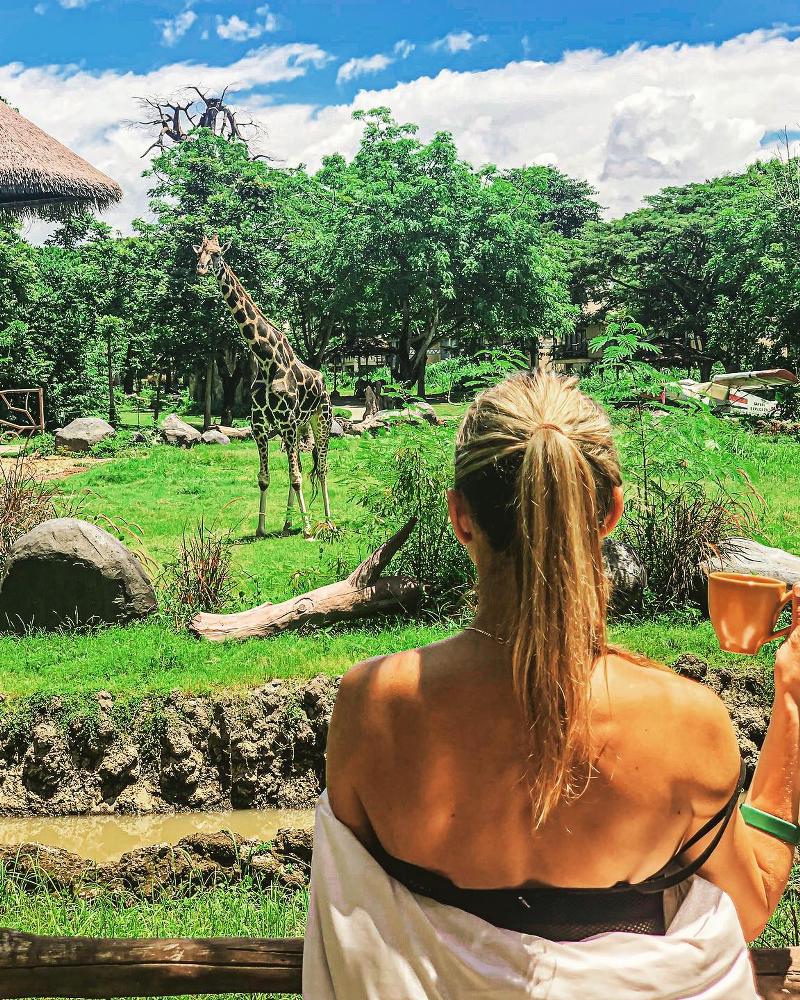 Mara River Safari Lodge bali-rent-car-with-driver-Experience-and-Activities-Tour (3)