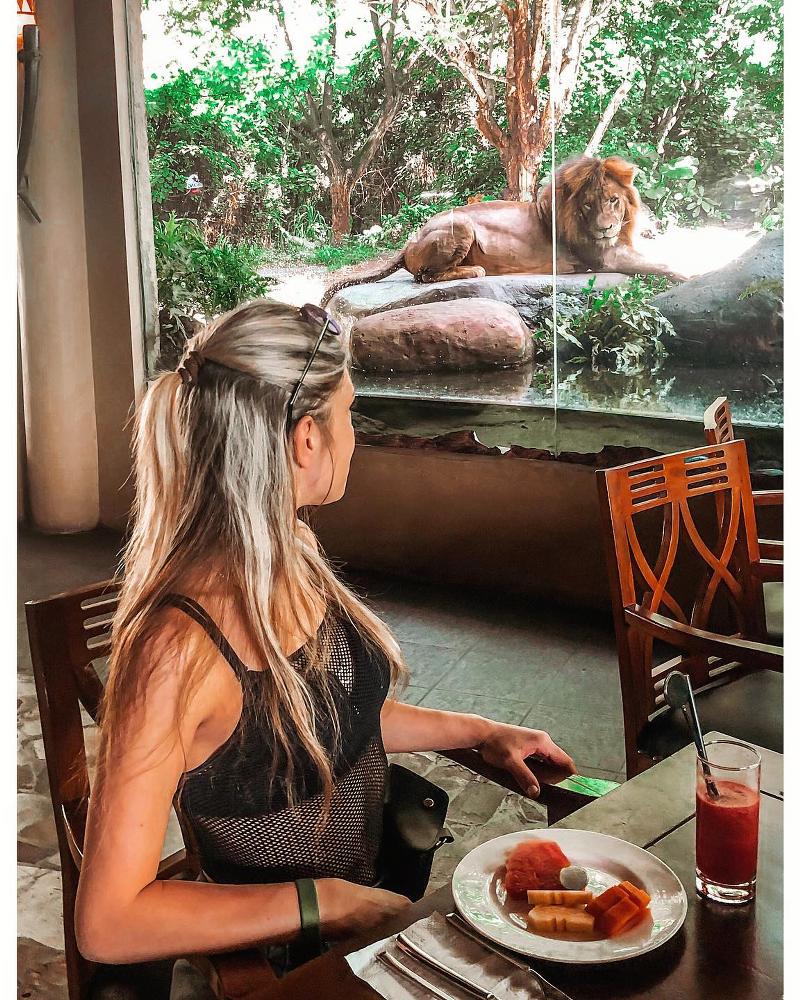 Mara River Safari Lodge bali-rent-car-with-driver-Experience-and-Activities-Tour (4)