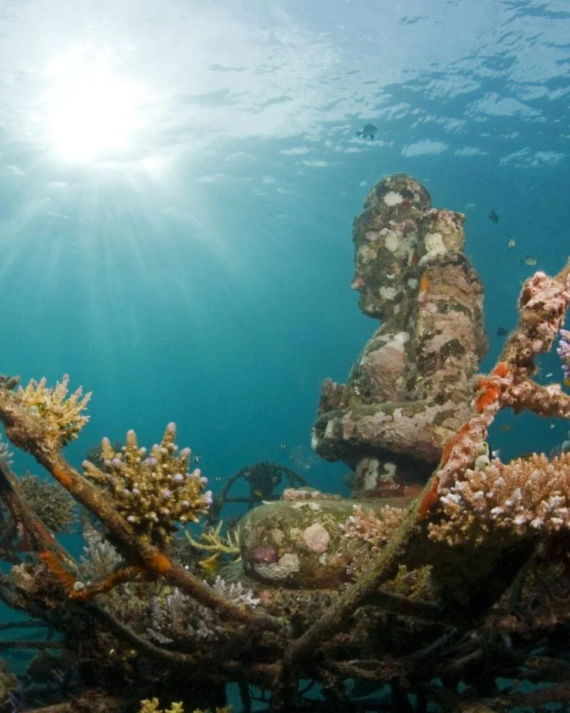 Pemuteran hidden underwater temple bali-rent-car-with-driver-Experience-and-Activities-Tour (1)