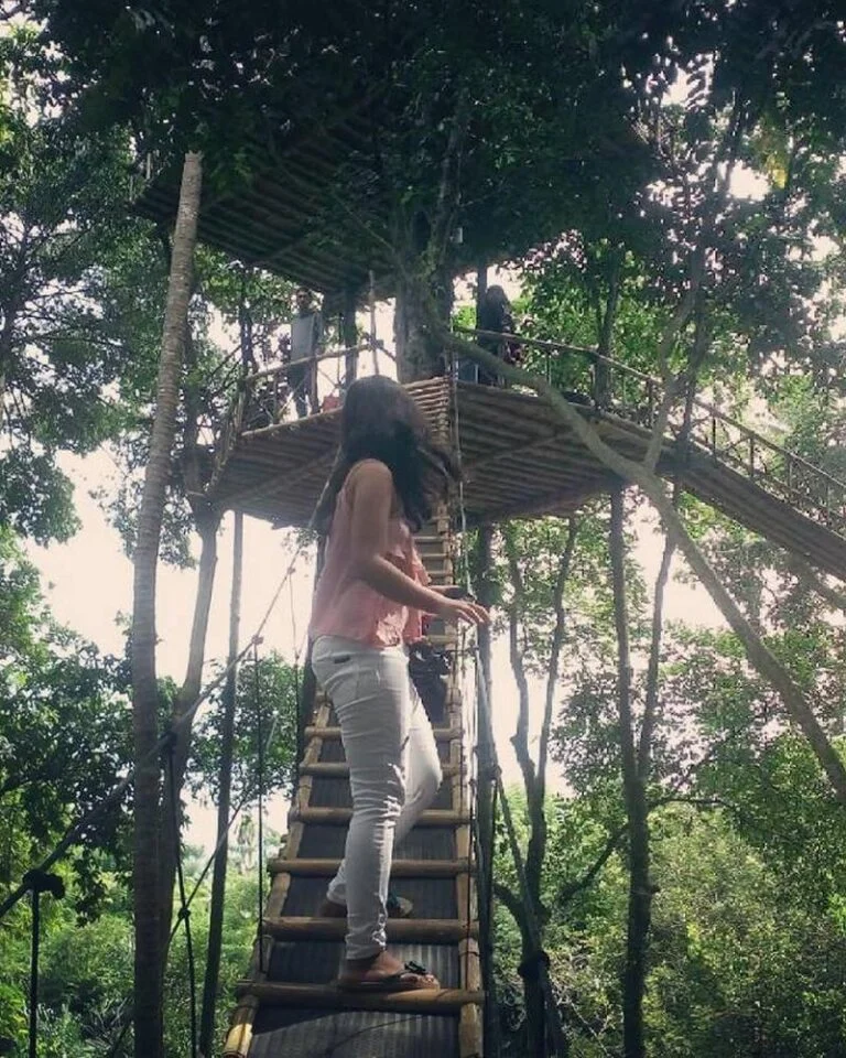 Temega Tree House, Karangasem