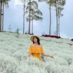 Taman Edelweis Bali: Serenity in Nature