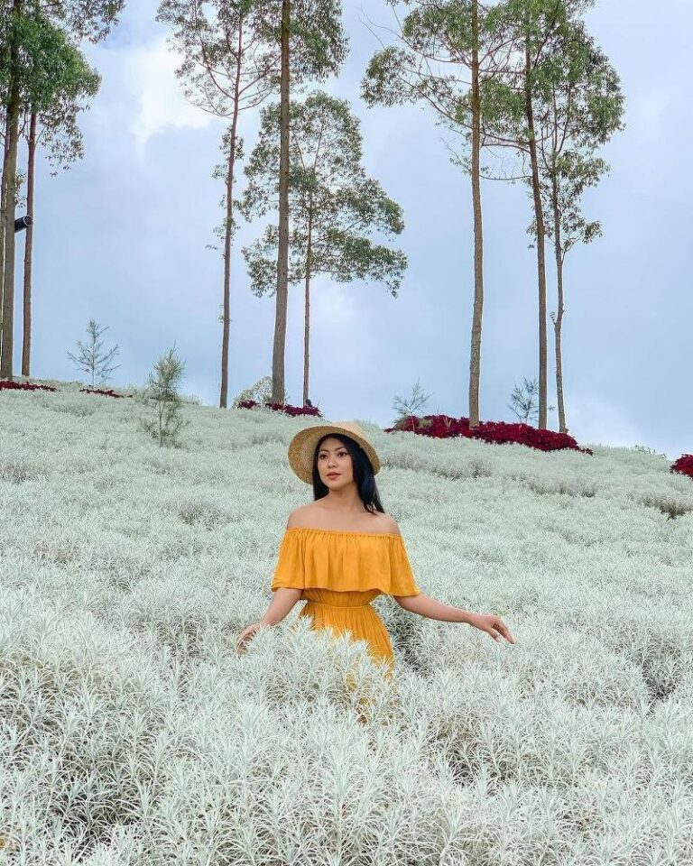 Taman Edelweis Bali: Serenity in Nature