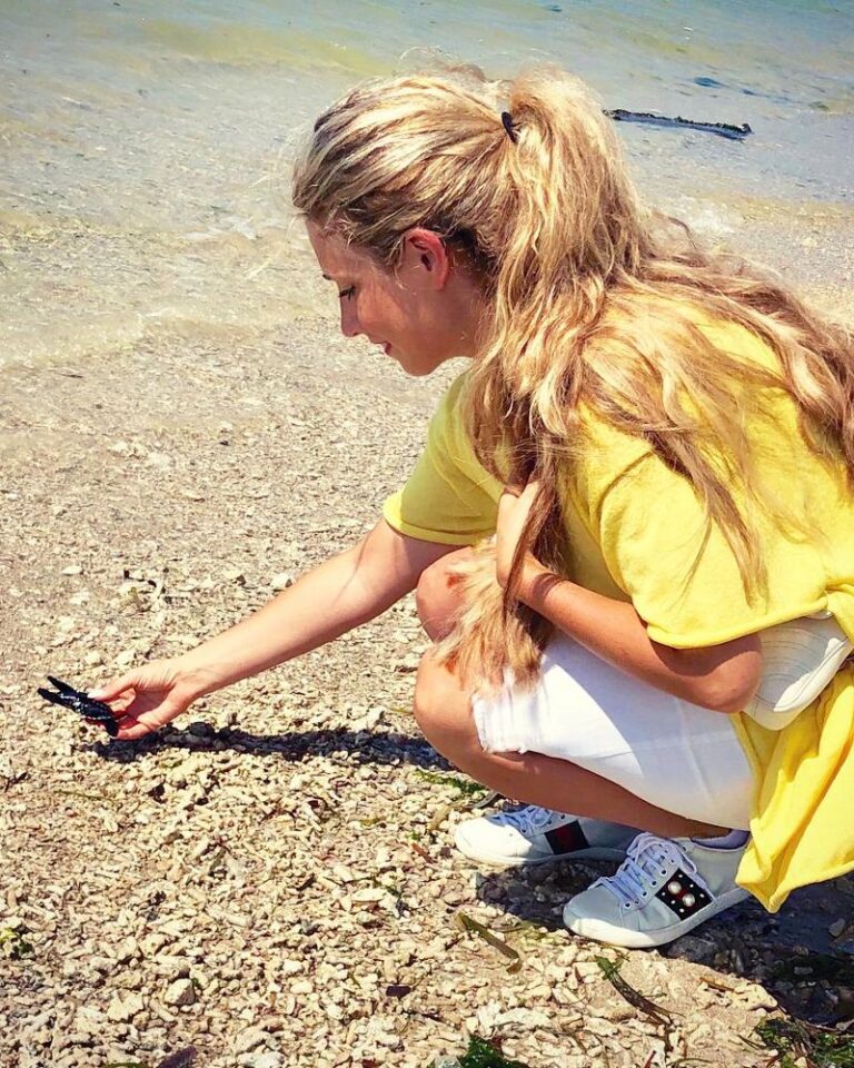 Turtle Conservation and Education Centre