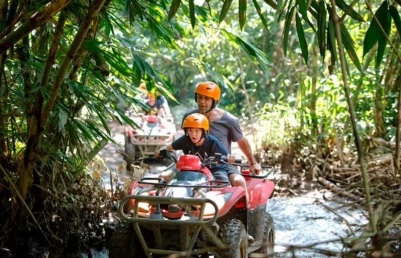 Ubud E-Bike Cycling Tours