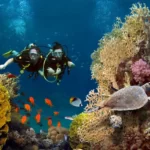 Bali’s Underwater Wonders: Snorkeling and Diving Hotspots
