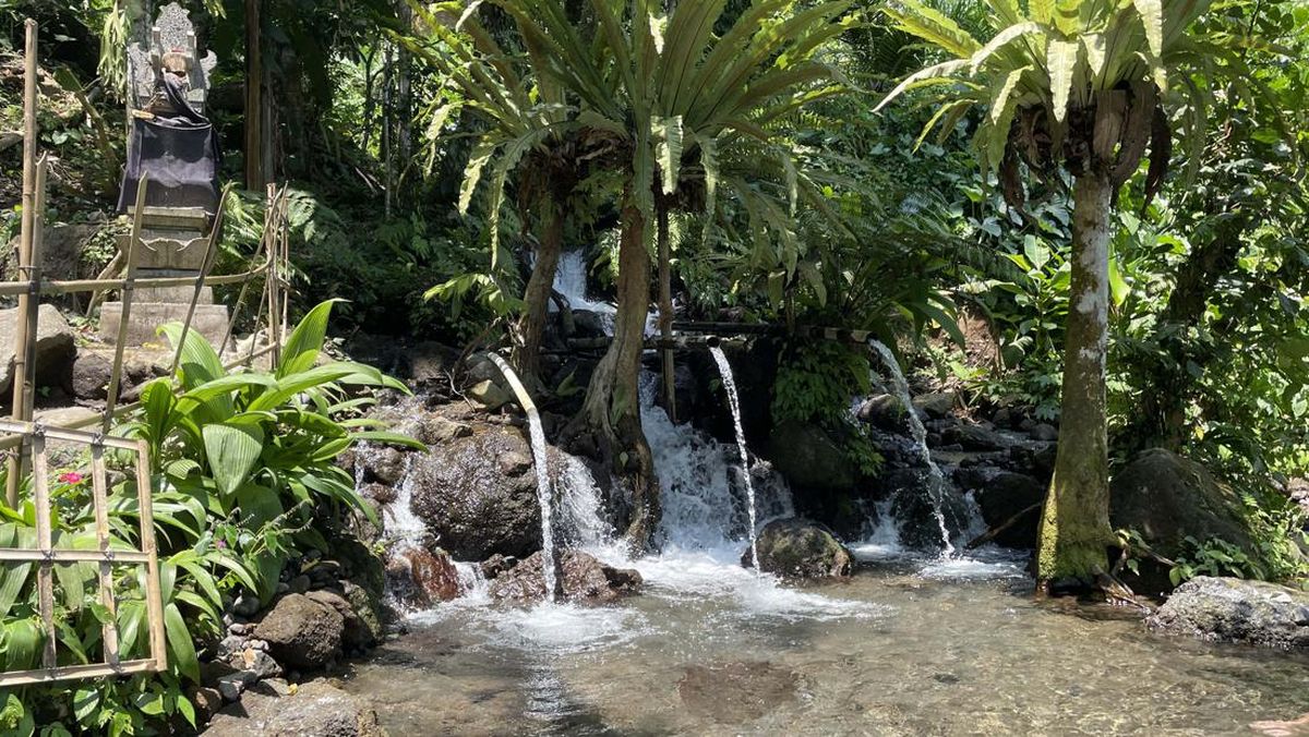 Pemandian Umum Tukad Arca โ A Hidden Oasis to Explore Bali with a Bali Car Rental with Driver