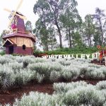 Edelweiss Garden Bali: A Blooming Escape for Nature Lovers and Photographers