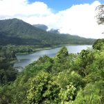 From Forest to Coast: A 48-Hour Jembrana Itinerary for Adventure Seekers