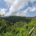 Jembrana’s Green Cliff: The Ultimate ‘Healing’ Spot for Solo Travelers