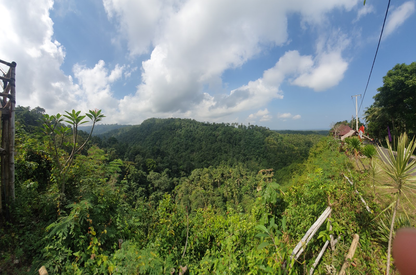 Jembrana’s Green Cliff: The Ultimate ‘Healing’ Spot for Solo Travelers
