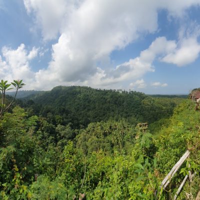 Jembrana’s Green Cliff: The Ultimate ‘Healing’ Spot for Solo Travelers