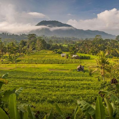 Cheap Car Rental with Personal Driver in Bumbak, Umalas: The Best Way to Explore Bali