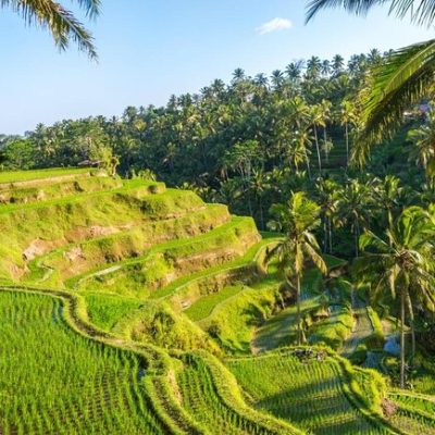Affordable Car Rental with Personal Driver in Tegal Cupek, Umalas: The Best Way to Explore Bali